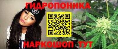 гидра Берёзовский